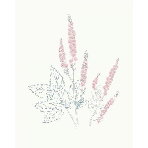 Flowers on White VII Contemporary Black Modern Wood Framed Art Print with Double Matting by Wild Apple Portfolio