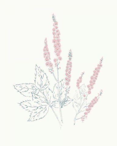 Flowers on White VII Contemporary Black Ornate Wood Framed Art Print with Double Matting by Wild Apple Portfolio