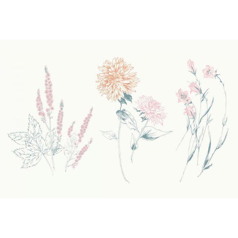 Flowers on White VIII Contemporary White Modern Wood Framed Art Print by Wild Apple Portfolio