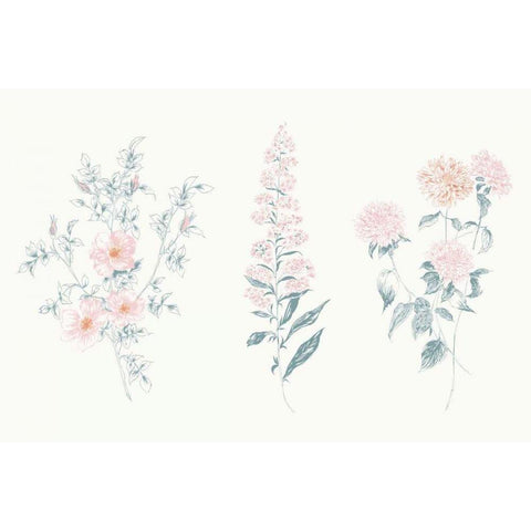 Flowers on White IX Contemporary Gold Ornate Wood Framed Art Print with Double Matting by Wild Apple Portfolio