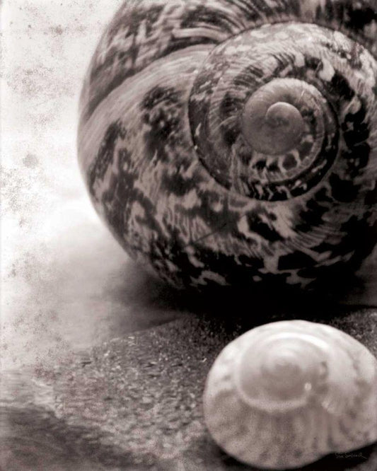 Image Only