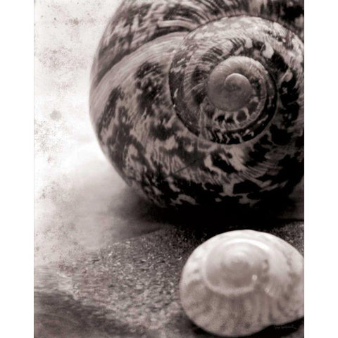 New Discoveries No Border Black Modern Wood Framed Art Print by Schlabach, Sue