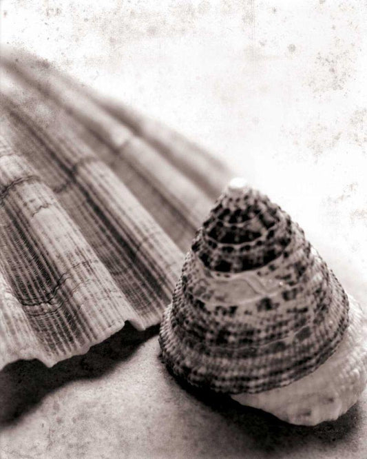 Image Only