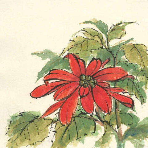 Poinsettia I Black Ornate Wood Framed Art Print with Double Matting by Paschke, Chris