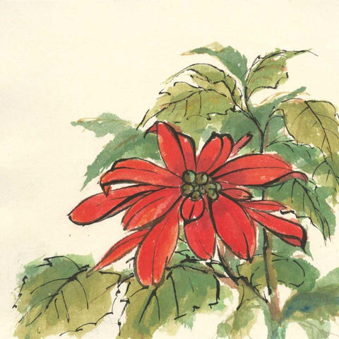 Poinsettia I Black Modern Wood Framed Art Print by Paschke, Chris