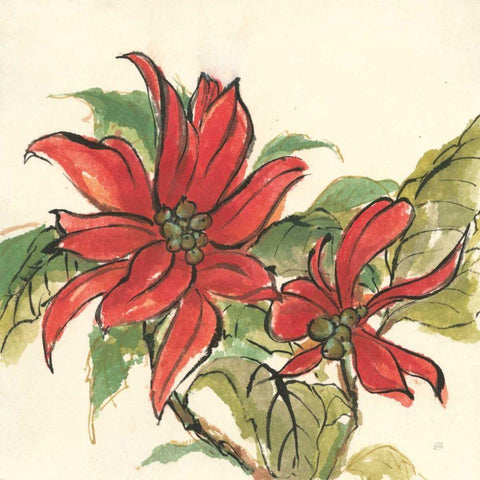 Poinsettia II Black Modern Wood Framed Art Print with Double Matting by Paschke, Chris
