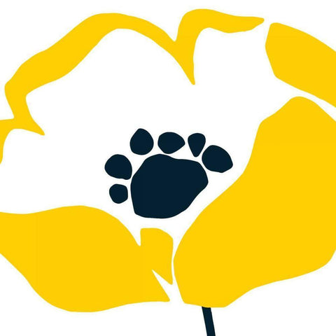 Pop Art Floral II White Modern Wood Framed Art Print with Double Matting by Wild Apple Portfolio