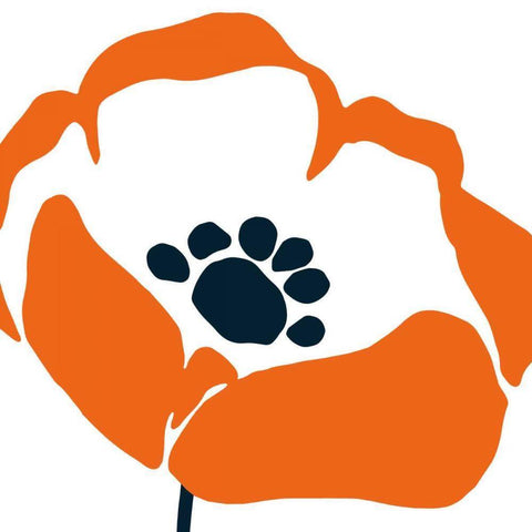 Pop Art Floral III White Modern Wood Framed Art Print with Double Matting by Wild Apple Portfolio