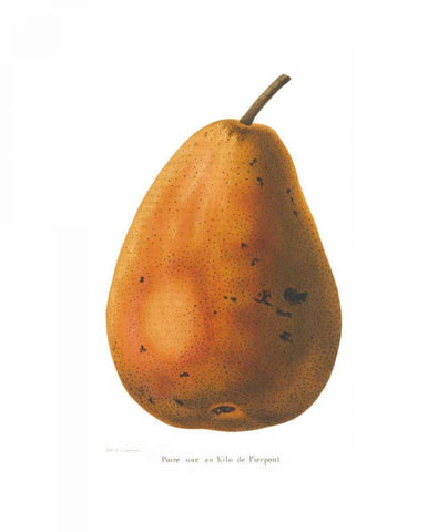 Pierpont on White White Modern Wood Framed Art Print with Double Matting by Wild Apple Portfolio