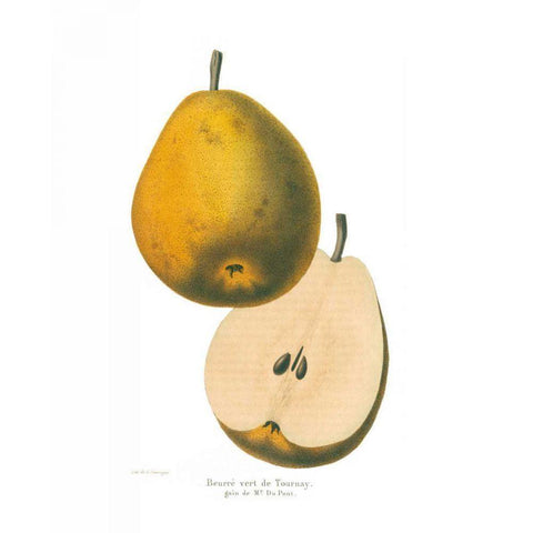 Tournay on White Black Modern Wood Framed Art Print by Wild Apple Portfolio