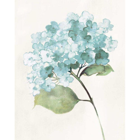 Antique Floral on Cream I Blue White Modern Wood Framed Art Print by Wild Apple Portfolio