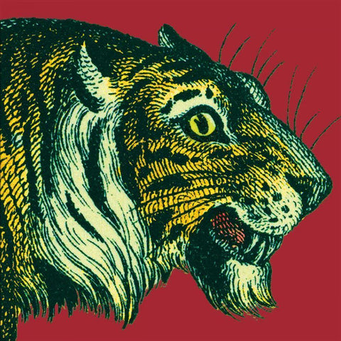 Jungle Flair I White Modern Wood Framed Art Print by Wild Apple Portfolio