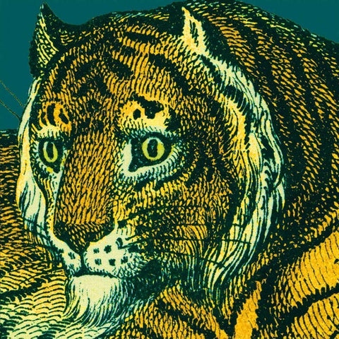 Jungle Flair II Gold Ornate Wood Framed Art Print with Double Matting by Wild Apple Portfolio