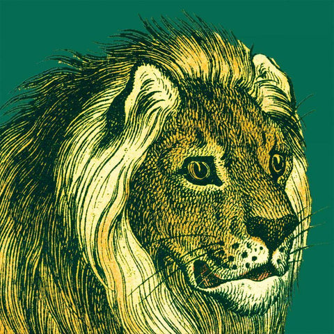 Jungle Flair III Gold Ornate Wood Framed Art Print with Double Matting by Wild Apple Portfolio