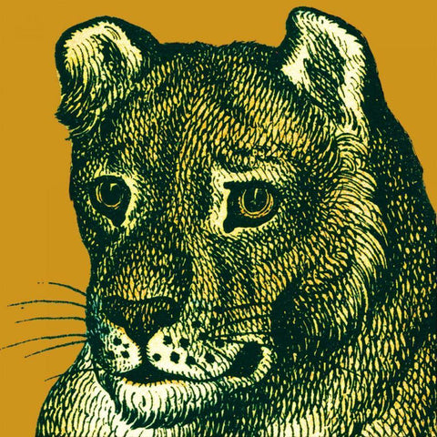 Jungle Flair IV White Modern Wood Framed Art Print by Wild Apple Portfolio