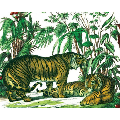 Jungle Flair V Black Modern Wood Framed Art Print with Double Matting by Wild Apple Portfolio