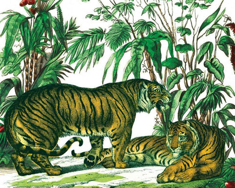 Jungle Flair V Black Ornate Wood Framed Art Print with Double Matting by Wild Apple Portfolio