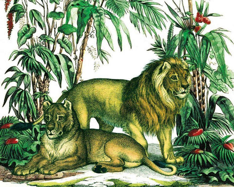 Jungle Flair VI Black Ornate Wood Framed Art Print with Double Matting by Wild Apple Portfolio