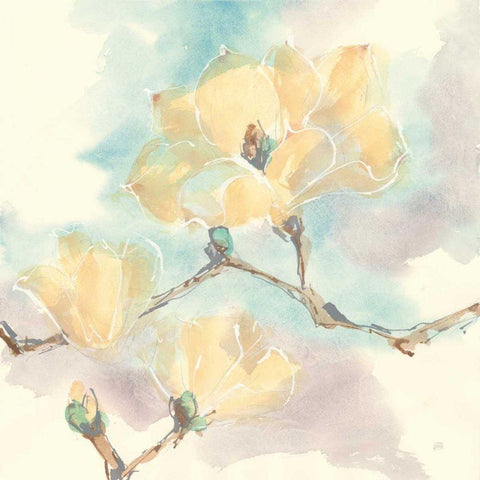 Magnolias in White I Gold Ornate Wood Framed Art Print with Double Matting by Paschke, Chris