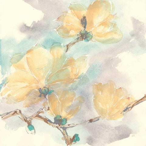 Magnolias in White II White Modern Wood Framed Art Print with Double Matting by Paschke, Chris