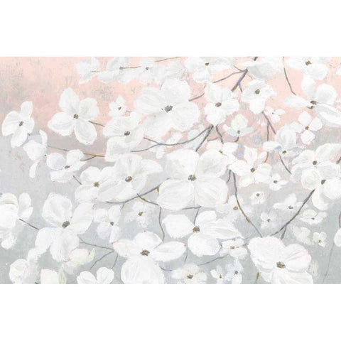 Bringing in Blossoms Blush White Modern Wood Framed Art Print by Wiens, James