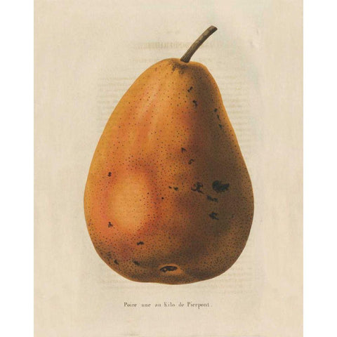 Pierpont v2 Gold Ornate Wood Framed Art Print with Double Matting by Wild Apple Portfolio