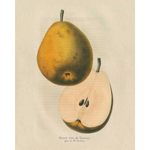 Tournay v2 Black Modern Wood Framed Art Print with Double Matting by Wild Apple Portfolio