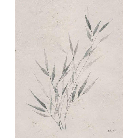 Soft Summer Sketches III Black Modern Wood Framed Art Print with Double Matting by Wiens, James
