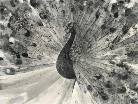 Fanfare Black Ornate Wood Framed Art Print with Double Matting by Hristova, Albena