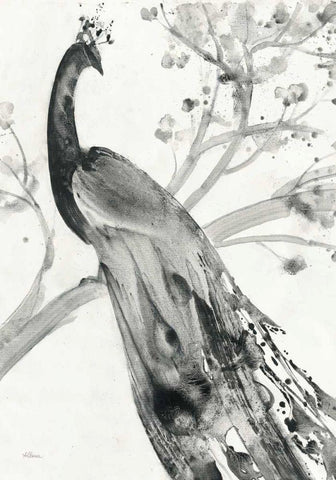 Majestic Peacock - Special White Modern Wood Framed Art Print with Double Matting by Hristova, Albena