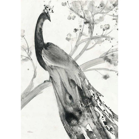 Majestic Peacock - Special White Modern Wood Framed Art Print by Hristova, Albena