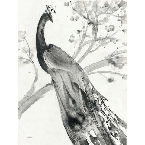 Majestic Peacock Black Modern Wood Framed Art Print with Double Matting by Hristova, Albena