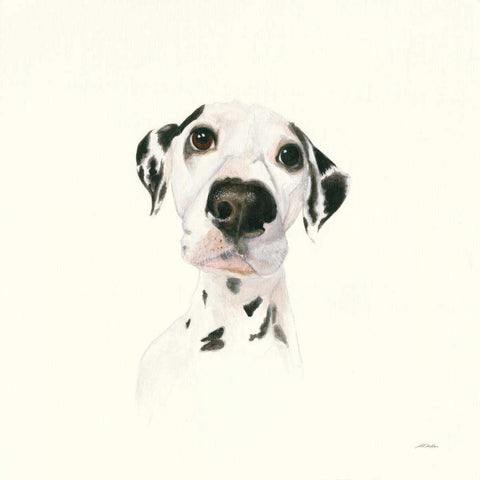 Milo Black Modern Wood Framed Art Print by Ducklow, Patsy