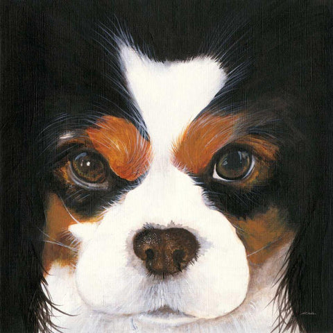 Gertie II Black Modern Wood Framed Art Print with Double Matting by Ducklow, Patsy