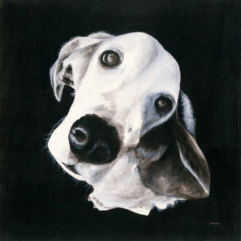 Max I Black Modern Wood Framed Art Print with Double Matting by Ducklow, Patsy