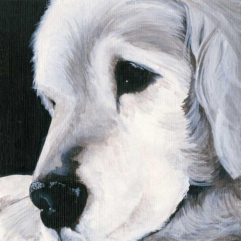 Max II White Modern Wood Framed Art Print with Double Matting by Ducklow, Patsy