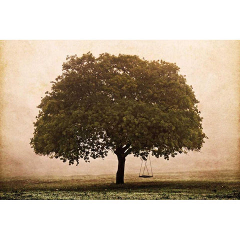 The Hopeful Oak Black Modern Wood Framed Art Print with Double Matting by Van Swearingen, Debra