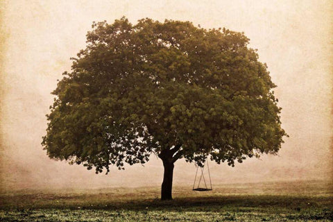 The Hopeful Oak White Modern Wood Framed Art Print with Double Matting by Van Swearingen, Debra