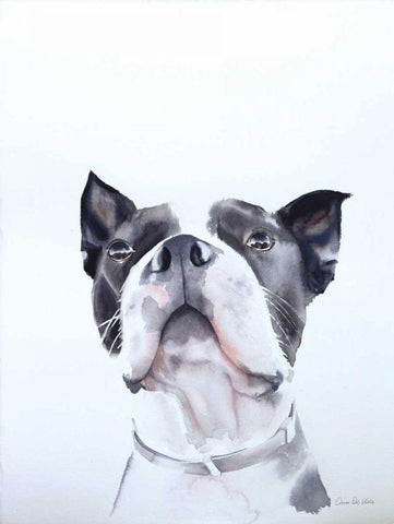 Bird Watching Black Ornate Wood Framed Art Print with Double Matting by Valle, Aimee Del