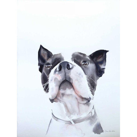 Bird Watching Black Modern Wood Framed Art Print with Double Matting by Valle, Aimee Del