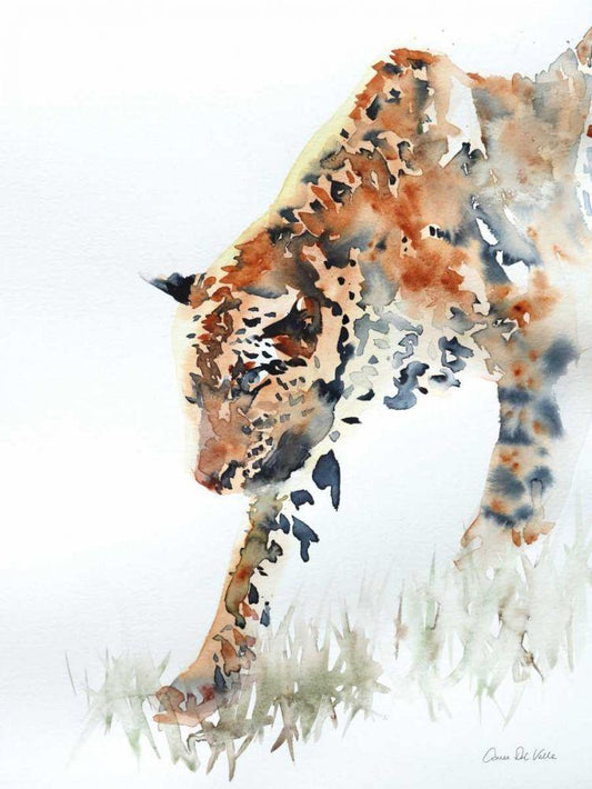 Image Only