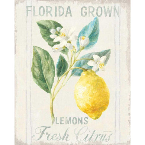 Floursack Lemon I White Modern Wood Framed Art Print by Nai, Danhui