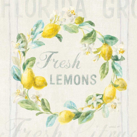 Floursack Lemon V White Modern Wood Framed Art Print with Double Matting by Nai, Danhui