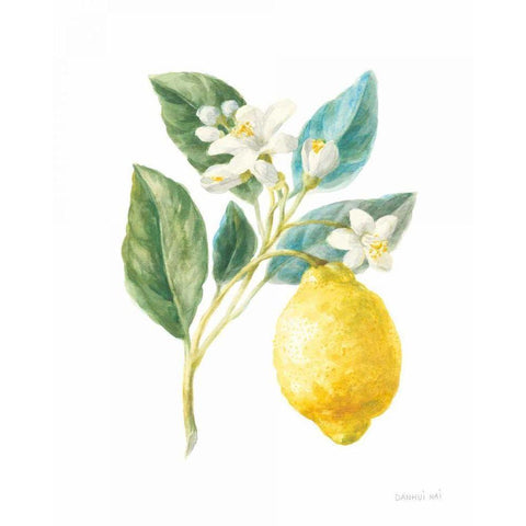 Floursack Lemon I on White Black Modern Wood Framed Art Print with Double Matting by Nai, Danhui
