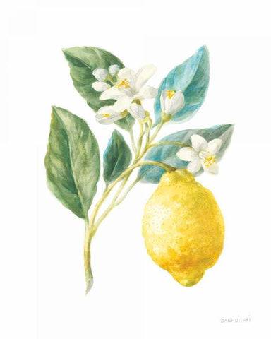 Floursack Lemon I on White White Modern Wood Framed Art Print with Double Matting by Nai, Danhui