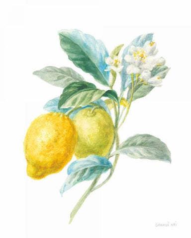 Floursack Lemon II on White White Modern Wood Framed Art Print with Double Matting by Nai, Danhui