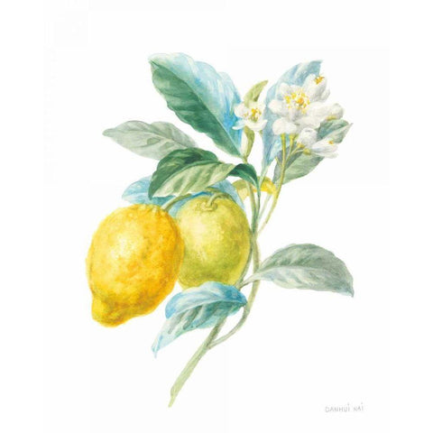 Floursack Lemon II on White Black Modern Wood Framed Art Print with Double Matting by Nai, Danhui