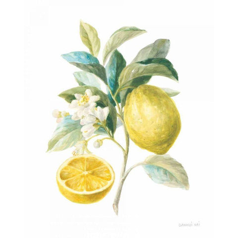 Floursack Lemon III on White White Modern Wood Framed Art Print by Nai, Danhui