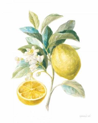 Floursack Lemon III on White White Modern Wood Framed Art Print with Double Matting by Nai, Danhui