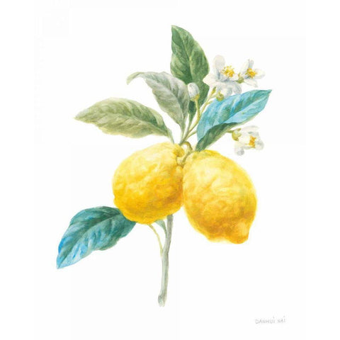 Floursack Lemon IV on White White Modern Wood Framed Art Print by Nai, Danhui